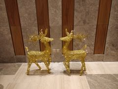 -白桦林温泉谷