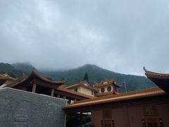 -深圳仙湖植物园