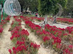 -广东花都香草世界旅游度假区