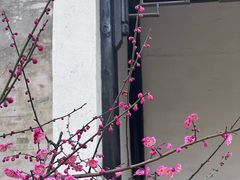 -巡塘古镇