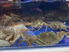 -蟹都汇(龙舟店)