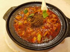 -陈麻婆豆腐总店