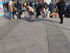 -鹏欣水游城