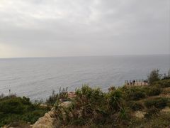 -广东惠东海龟国家级自然保护区