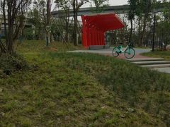 -神仙树公园