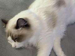 -零纪元VR体验馆·桌游(黄浦店)