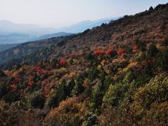 -红螺寺