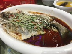 -铂尔台州菜(铂尔国际店)