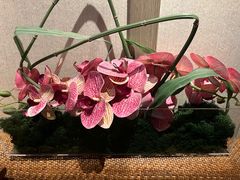 -和子足浴SPA会馆(梁溪店)