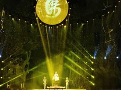 -灵玲国际马戏城