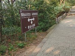 -紫金山山顶公园