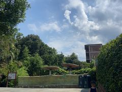 -泉州海丝野生动物世界