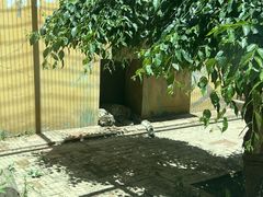 -青藏高原野生动物园