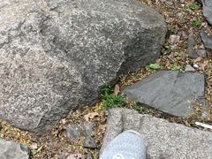 -北京鹫峰国家森林公园