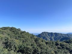 -大岭沟猕猴桃谷风景区