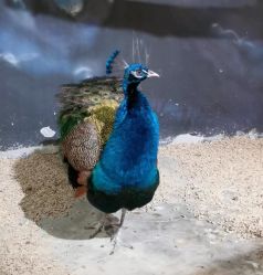 -酷嗒动物文化乐园(cutezoo西溪乐天城店)