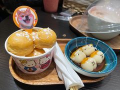 -逗柴咖啡屋·狗咖猫咖宠物桌游