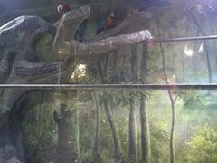 -多彩贵州城极地海洋世界