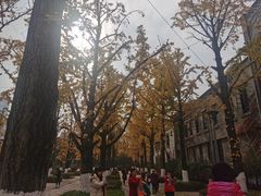 -百林公园-两江幸福广场