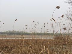 -灞河西岸滨河公园