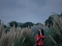 -成都中医药大学(温江校区)