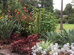 -墨尔本皇家植物园