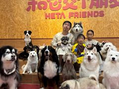 -和它·交个朋友·狗咖猫咖(爱琴海店)
