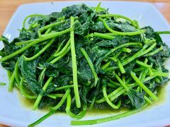 炒地瓜叶-力哥地道海南菜·联谊文昌鸡老店