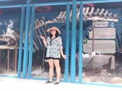 -东姑阿都拉曼海洋公园