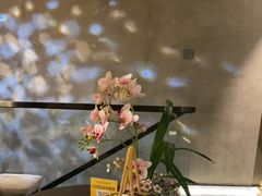 -施奈儿.洗头頭療.按摩SPA.采耳(上梅林店)