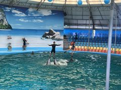 -尼莫海豚馆