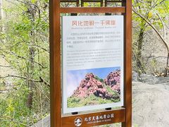 -灵溪风景区