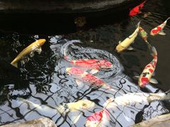 -顺景温泉