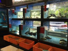 水产区-肥仔顺德菜(龙悦居店)