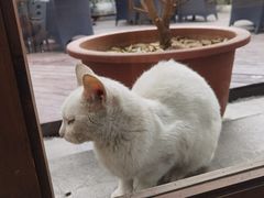 -无名小酒馆·湖北私房菜(昙华林店)
