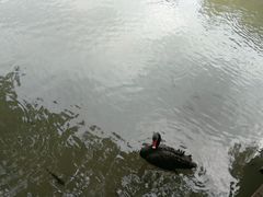 -呀诺达热带雨林