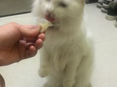 -芭比堂动物医院广州顽皮分院