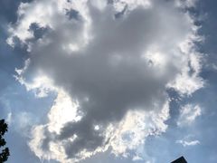 -星光影视园