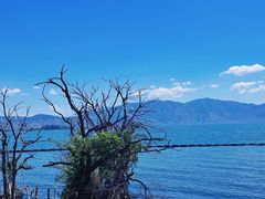 -大理洱海