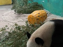 -杭州野生动物世界