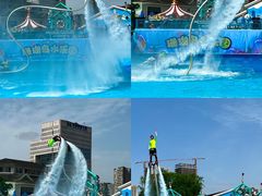 -海合安成都极地海洋公园