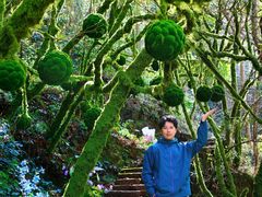 -龙湾潭国家森林公园