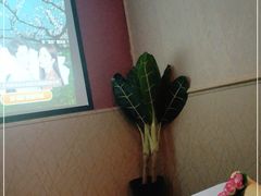 -富侨养生(康乾店)