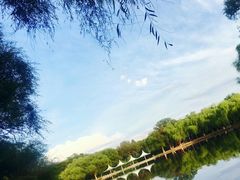 -青城公园