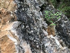 -塔云山
