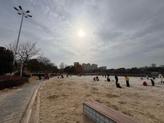 -滨湖塘西河公园