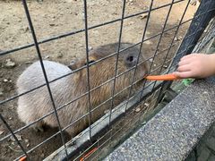 -宁波野生动物园