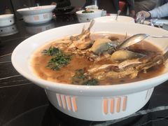 -沈灶河豚宴·河豚融合餐厅(汉中路店)