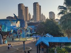 -海合安武汉极地海洋公园
