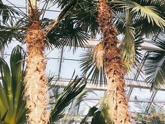 -北京植物园-展览温室